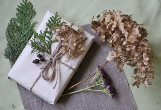 Hvad kan gøres fra tørre blomster af Hydrangea