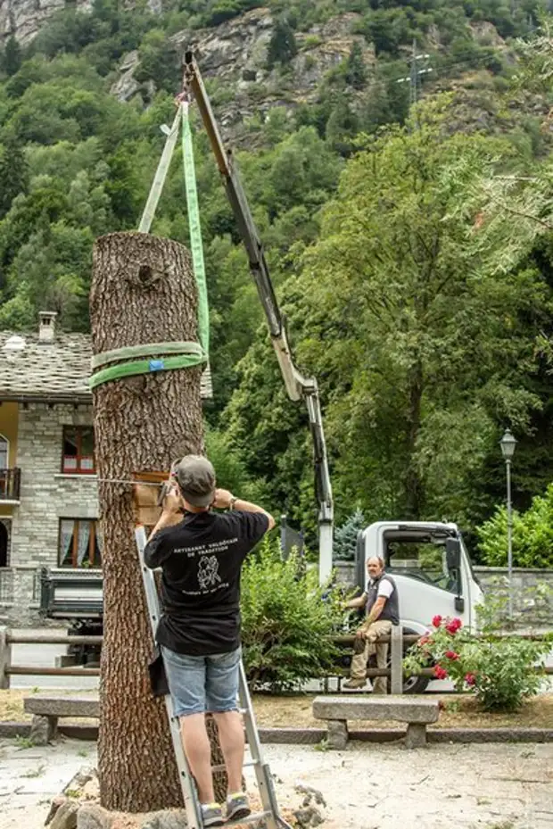 Houten boom sculptuur, beeldhouwkunst, houtwerk, lang, proces, fotografie