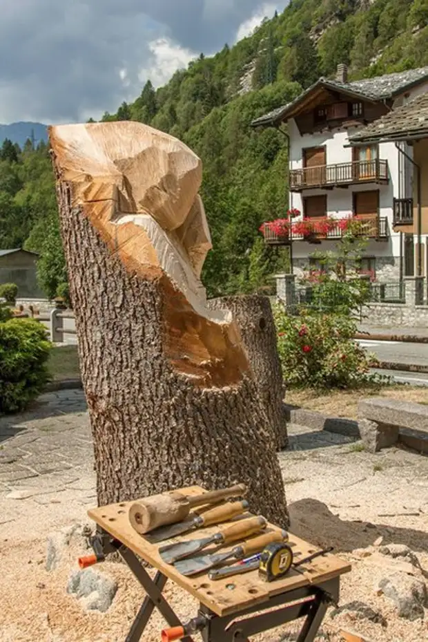 Kulîlkek dara daristanê, peyker, daristan, dirêj, pêvajoyê, wênekêş