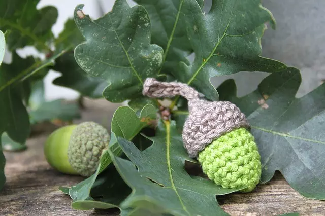 knitted acorns nyob rau hauv nplooj