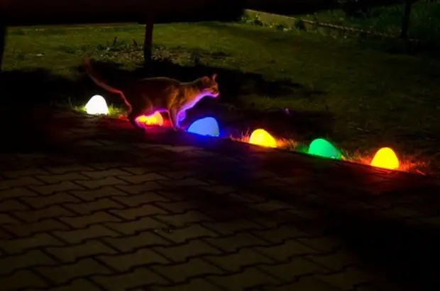 Pencahayaan Taman dengan cat luminescent