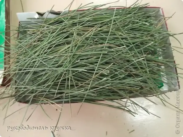 Masterklasse Weaving Fase fan Pine Needles Materiële Natuerlike thread Foto 2