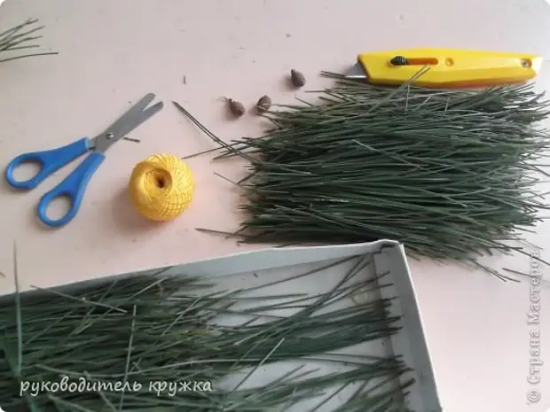 Master Class Weaving Vase fra Pine Needles Materiale Natural Thread Photo 3